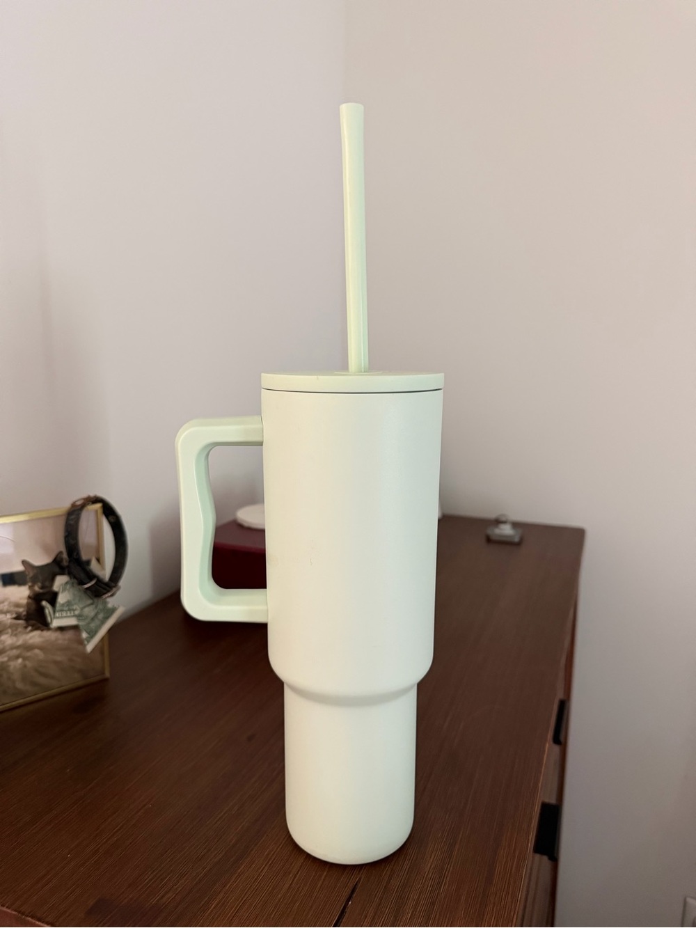 Simple Modern 40z tumbler, mint green